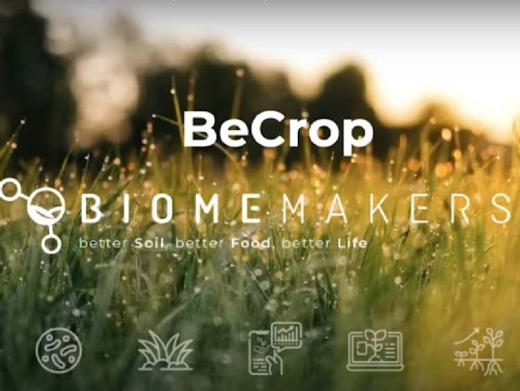 Przełom w rolnictwie: biostymulatory na nowo definiują wiedzę o glebie